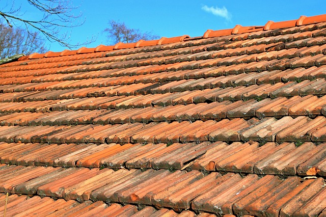 Les signes indiquant qu’il est temps de réparer ou de remplacer votre toit