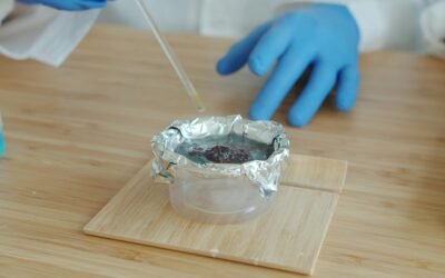 10 faits récents qui transforment notre compréhension du monde